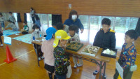 WIN_20241126_09_45_12_Pro