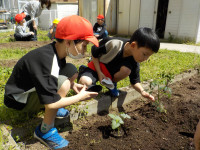 DSCN1459