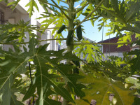 DSCN0002
