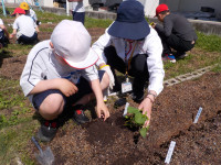 DSCN0042