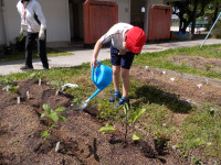DSCN0046