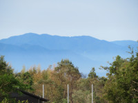 IMG_0255