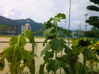 DSCF0003