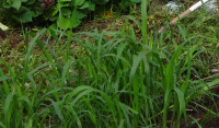 DSC03432